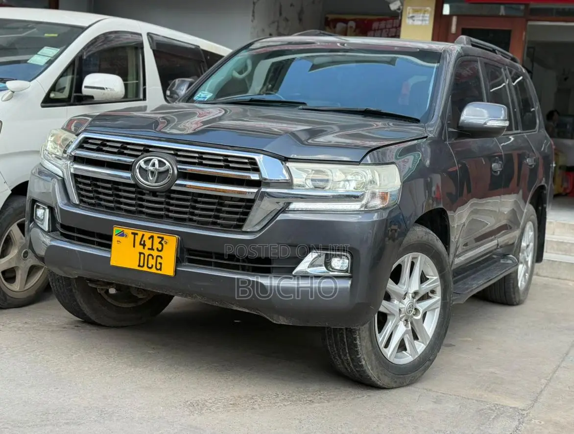 Toyota Land Cruiser 2008 Gray