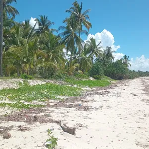 Beach Plot for Sale Ushingo Pangani Tanga
