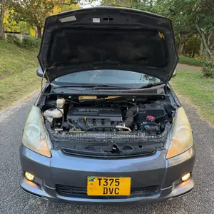 Toyota Wish 2005 Gray