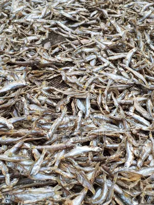Dagaa Bukoba