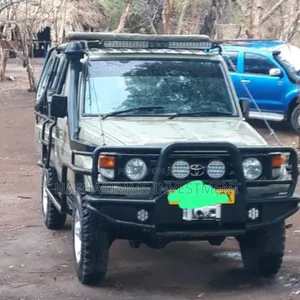 Toyota Land Cruiser 2006 Silver