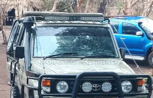 Toyota Land Cruiser 2006 Silver