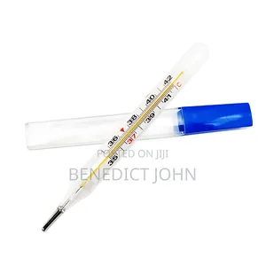 Mercury Thermometer