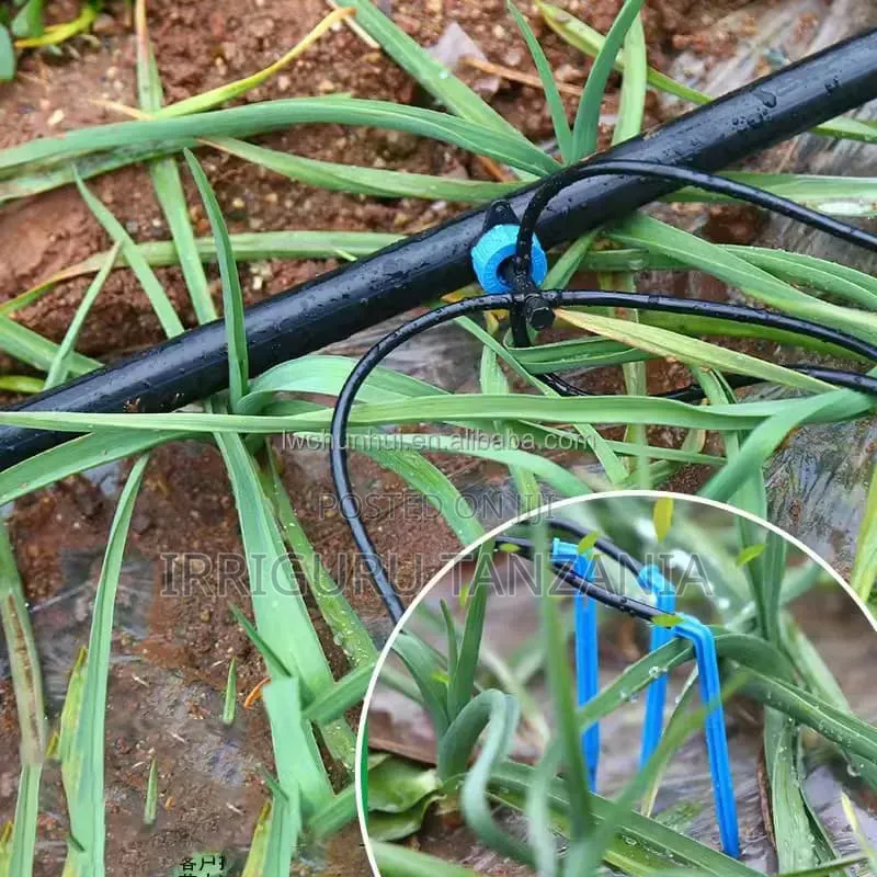 2 Outlet Dripper