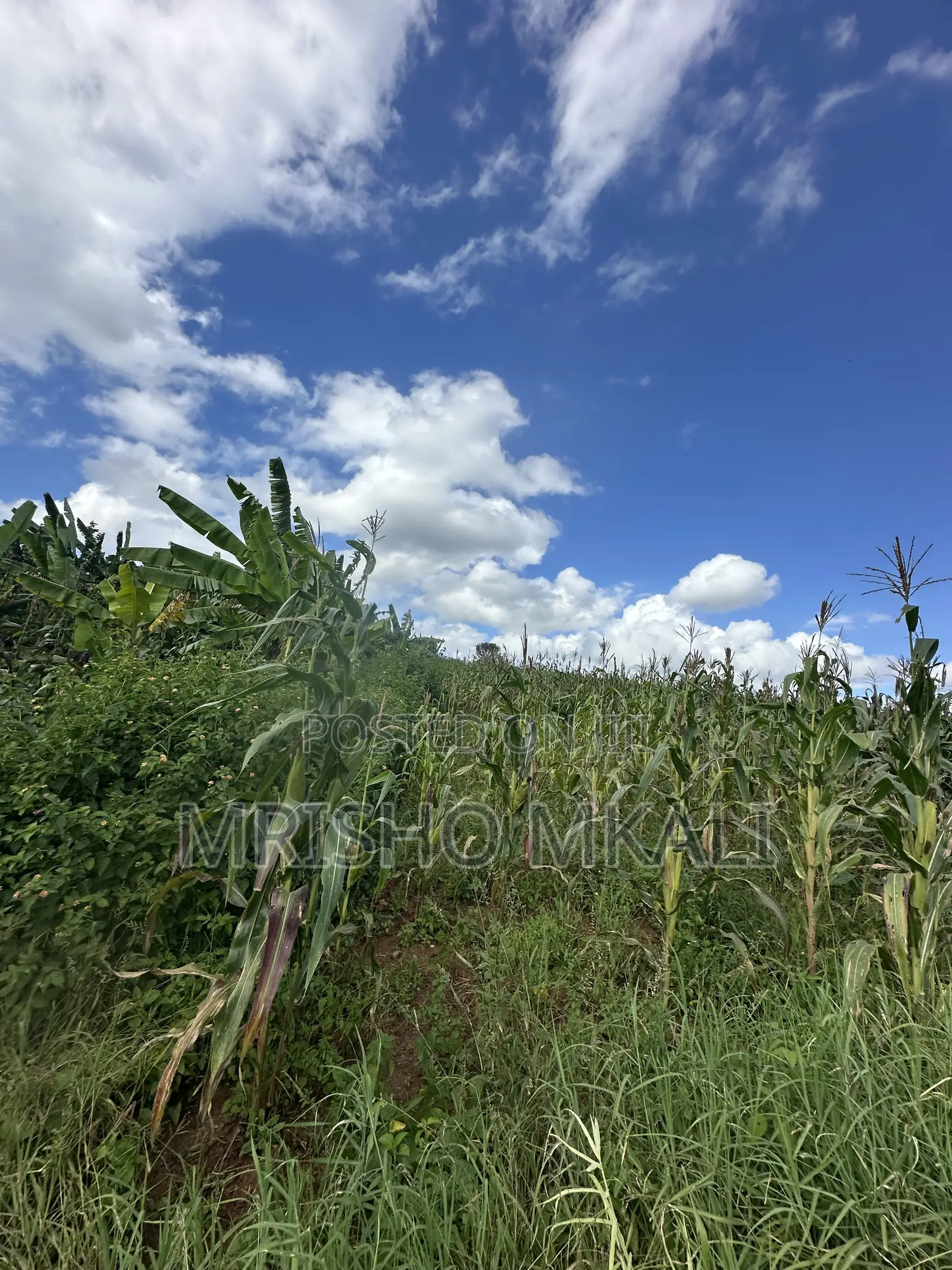 4bdrm House in Tanga Region for sale