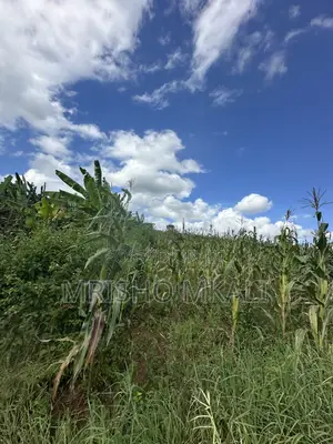 4bdrm House in Tanga Region for sale