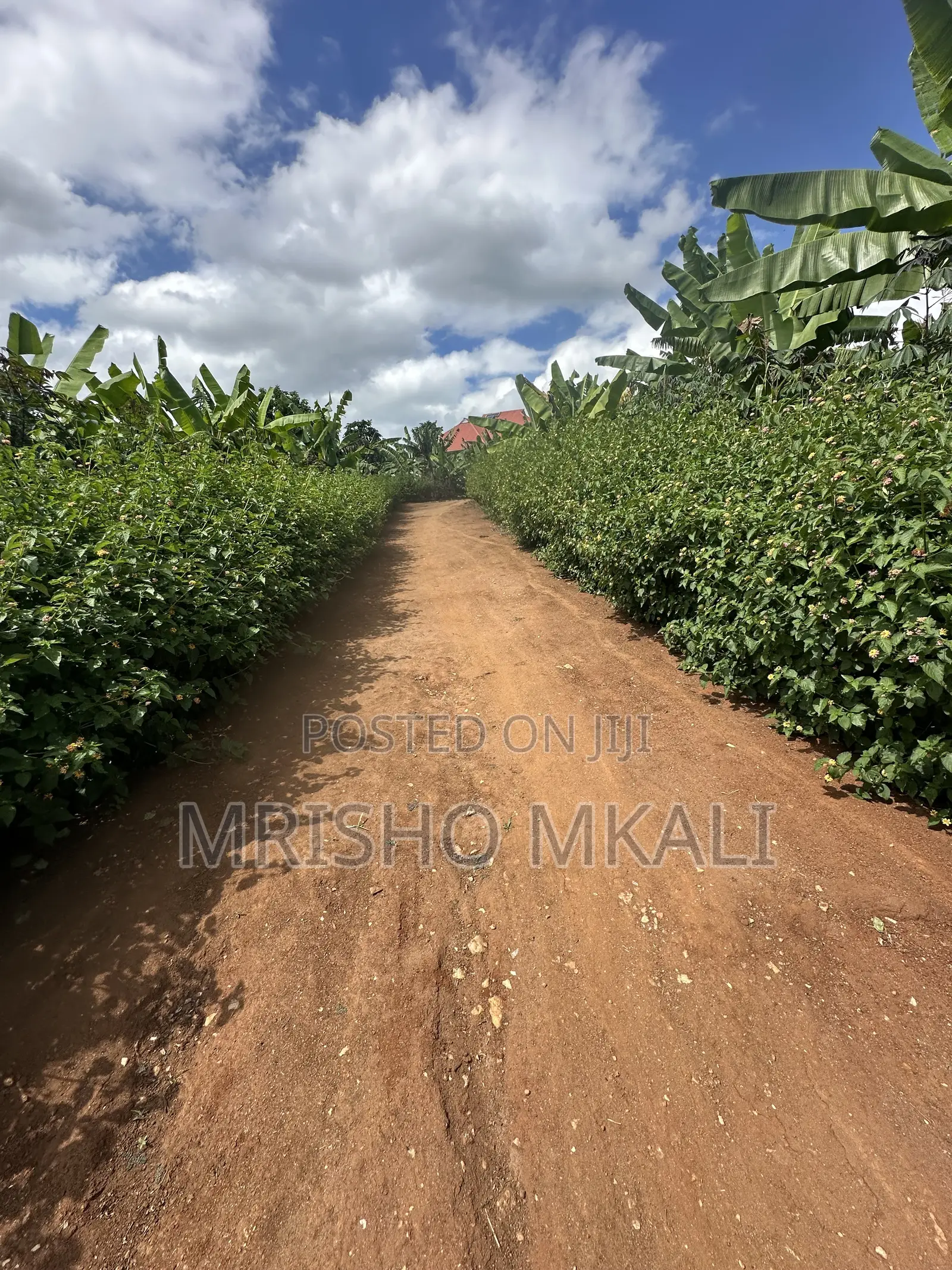 4bdrm House in Tanga Region for sale