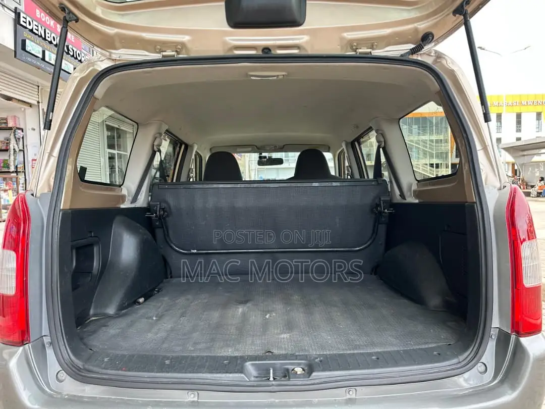 Toyota Probox 2011 Gold