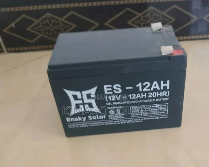 Original Es 12ah 12v Battery