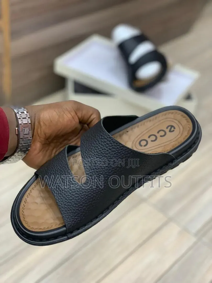 Men's Leather Shoes New and Original Ecco Branded Materials Pure