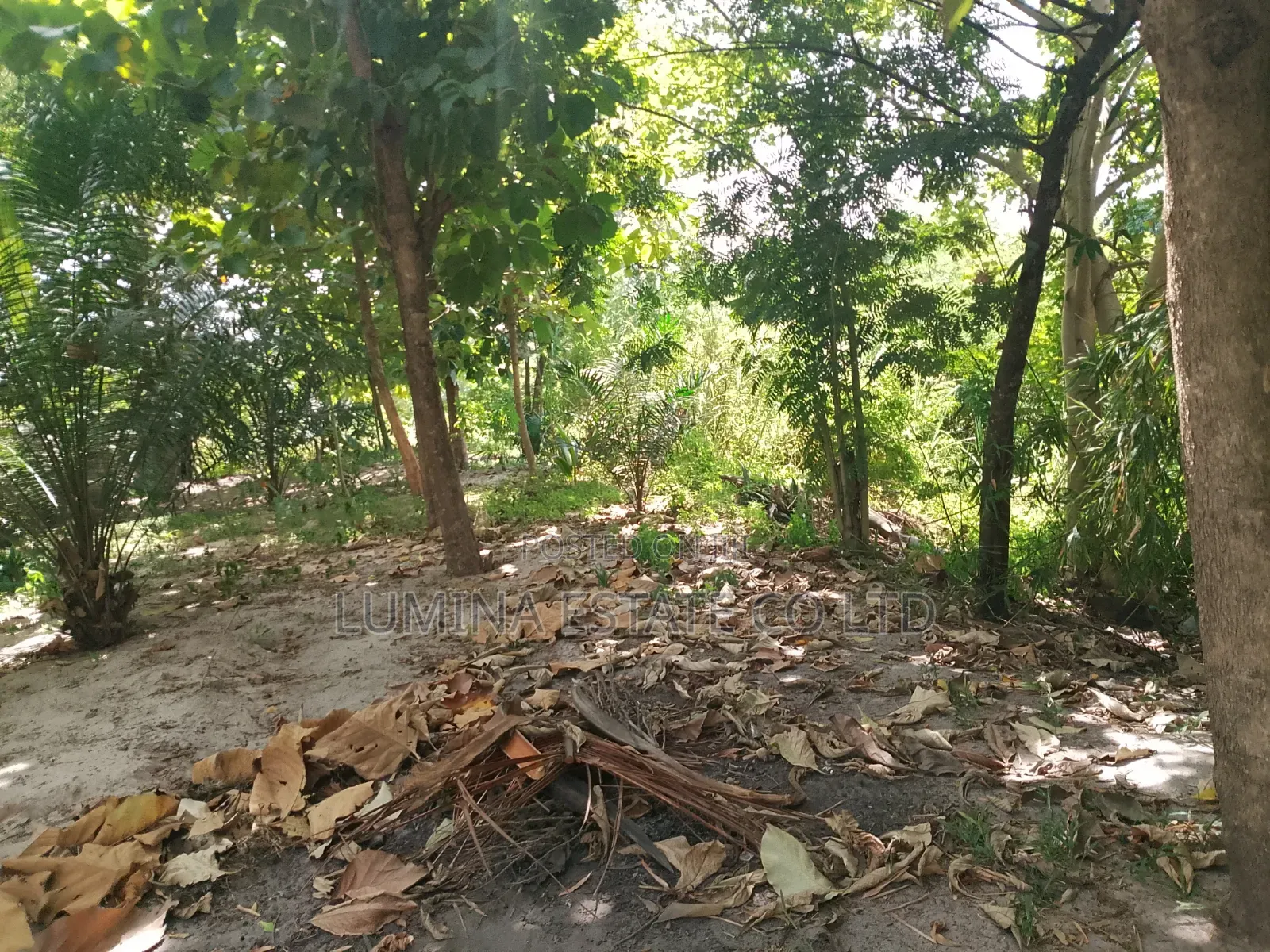 3bdrm Apartment in Lumina Estate, Kinondoni for sale