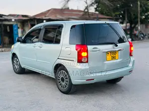 Toyota Raum 2007 Silver