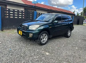 Toyota RAV4 2002 Blue