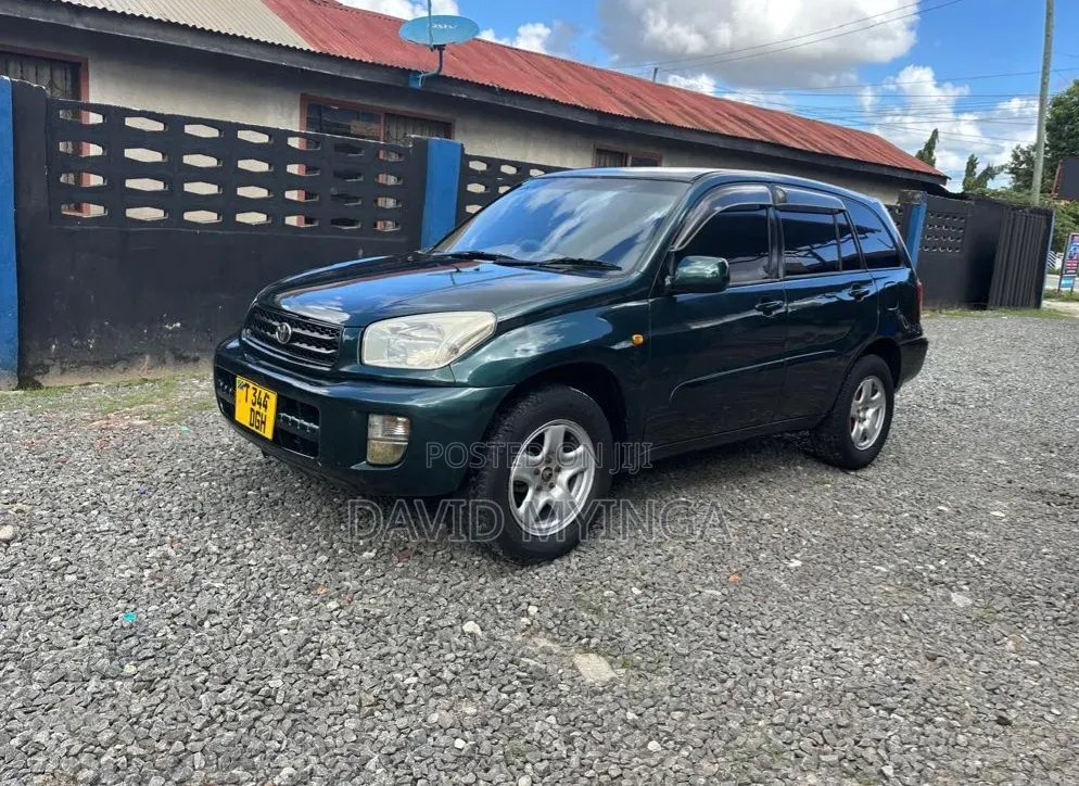 Toyota RAV4 2002 Blue