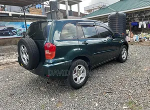 Toyota RAV4 2002 Blue