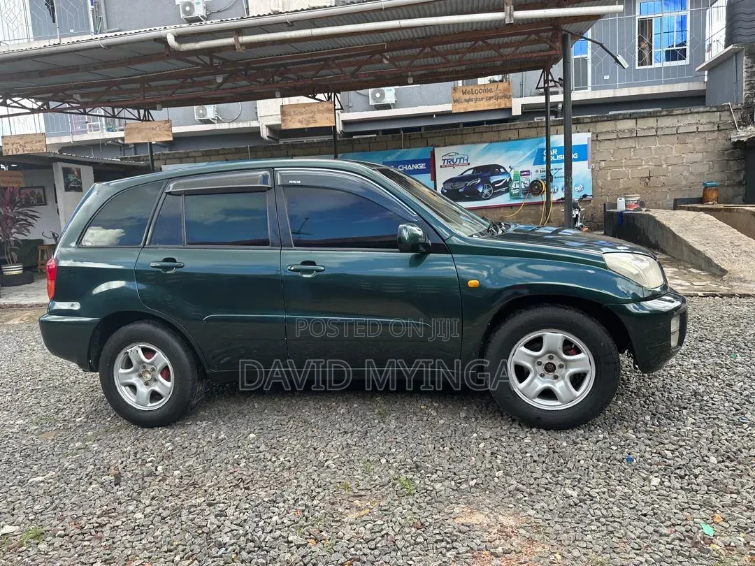 Toyota RAV4 2002 Blue