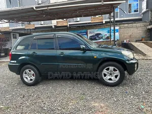Toyota RAV4 2002 Blue