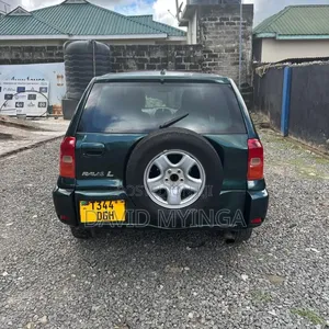 Toyota RAV4 2002 Blue