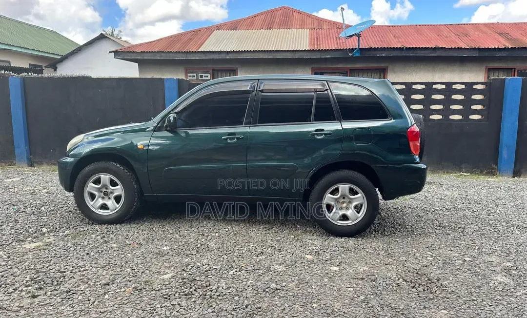 Toyota RAV4 2002 Blue