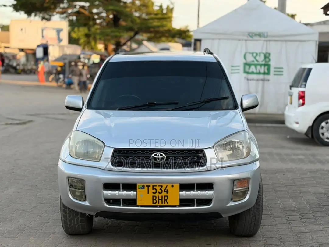 Toyota RAV4 2004 Silver
