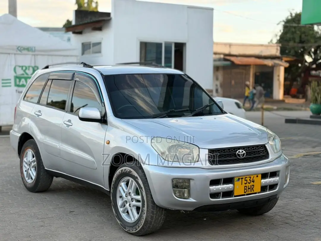 Toyota RAV4 2004 Silver