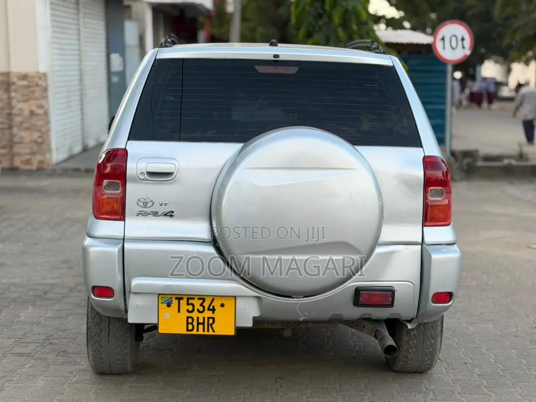 Toyota RAV4 2004 Silver