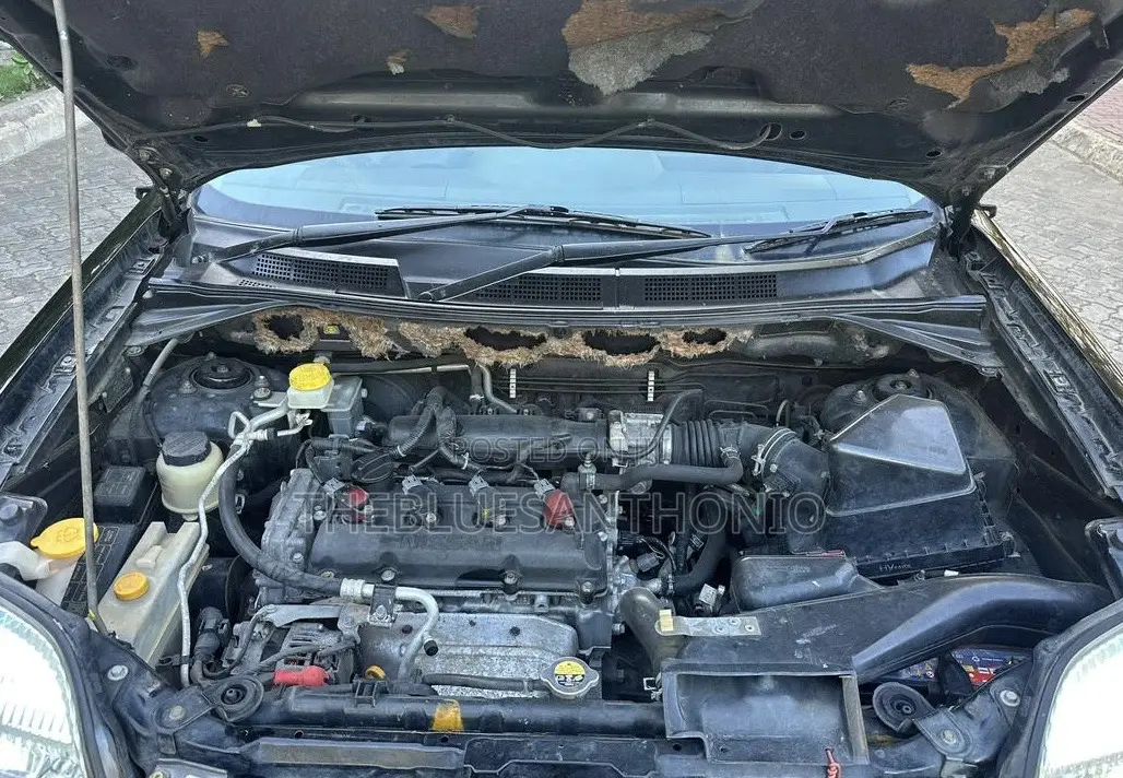 Nissan X-Trail 2005 Black
