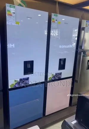 Hisense Fridge H450 (351l)