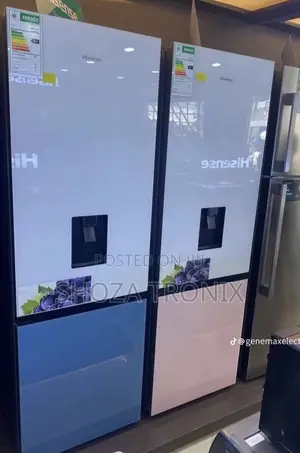 Hisense Fridge H450 (351l)