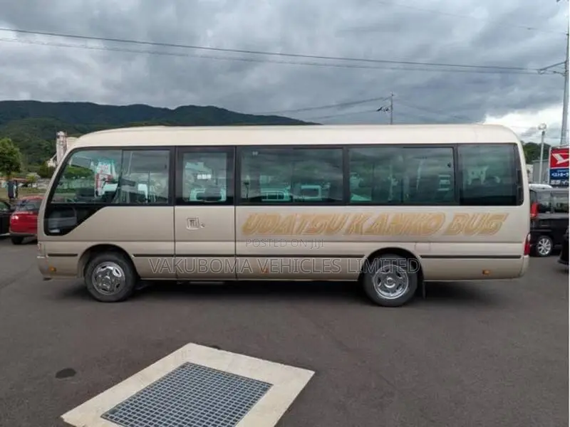 Toyota Coaster 2006 Gold