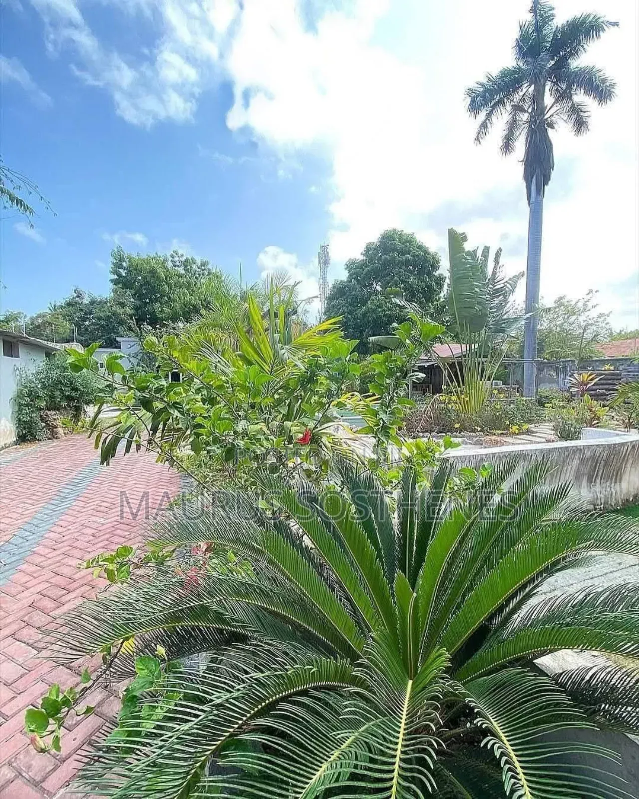 6bdrm House in Mikocheni for rent