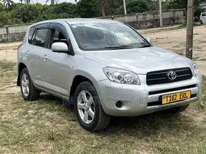 Toyota RAV4 2009 Silver