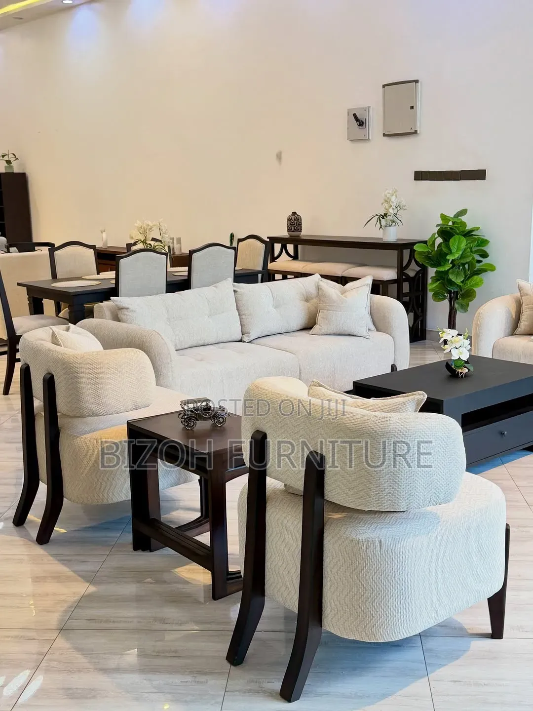 Modern Sofa Set