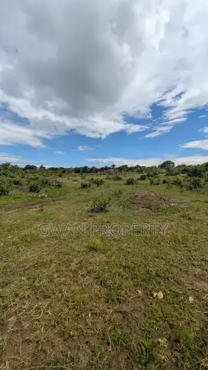 Viwanja Kyela, Mbeya