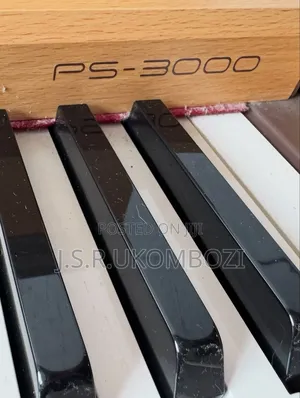 Casio Ps-3000