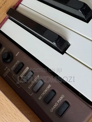 Casio Ps-3000