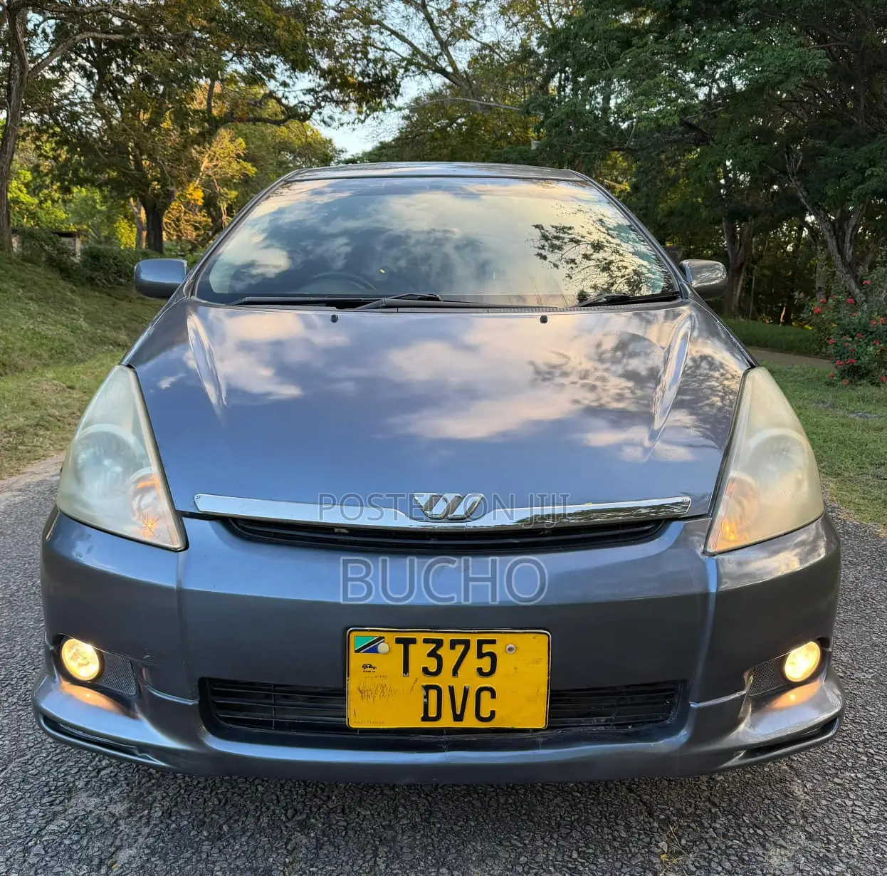 Toyota Wish 2005 Gray