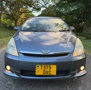 Toyota Wish 2005 Gray
