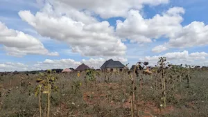 Kiwanja Kikubwa Udom