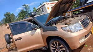 Toyota Land Cruiser 2010 Gold