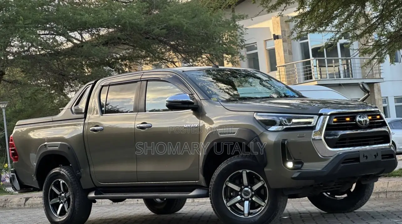 Toyota Hilux 2022 Brown