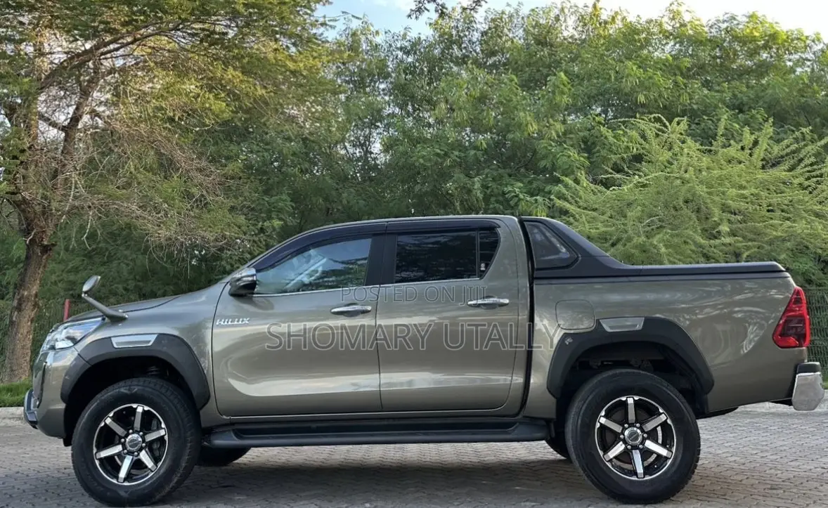 Toyota Hilux 2022 Brown