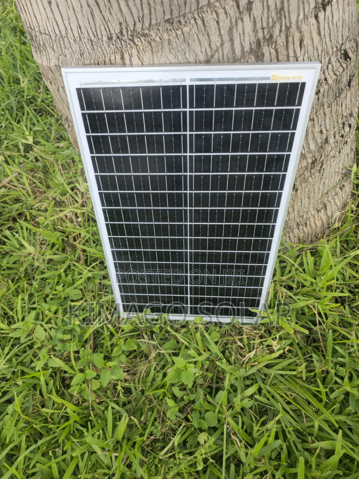 New Arrival Solar Panel 50w