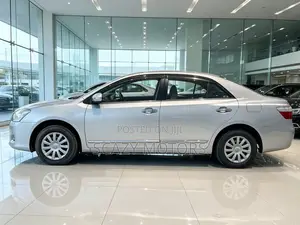 Toyota Premio 2009 Silver