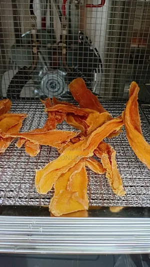Digiwave Food Dehydrator 10 Trays Model