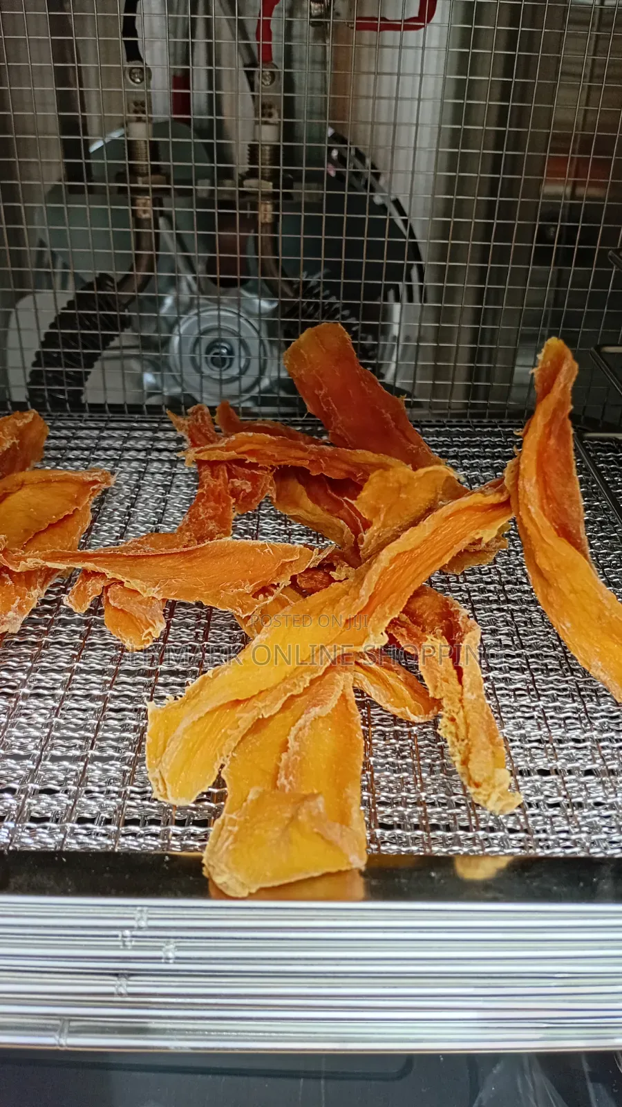 Digiwave Food Dehydrator 10 Trays Model