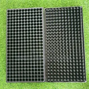 Seedlings Trays
