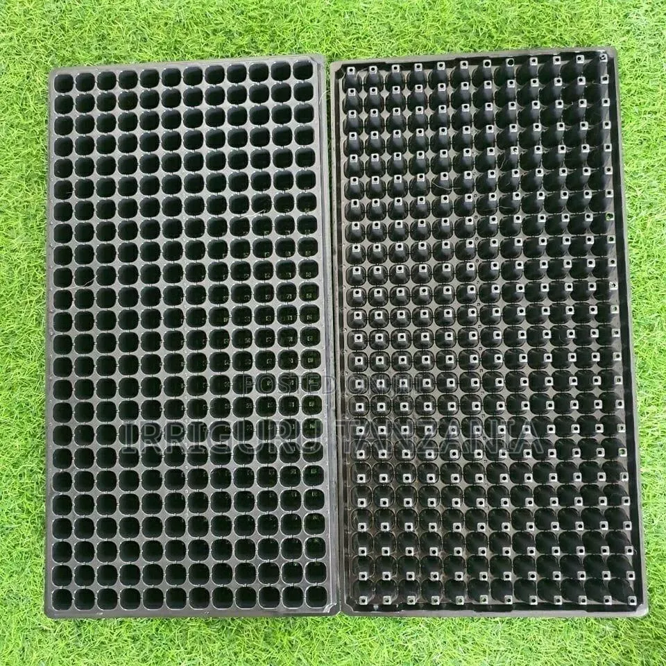 Seedlings Trays