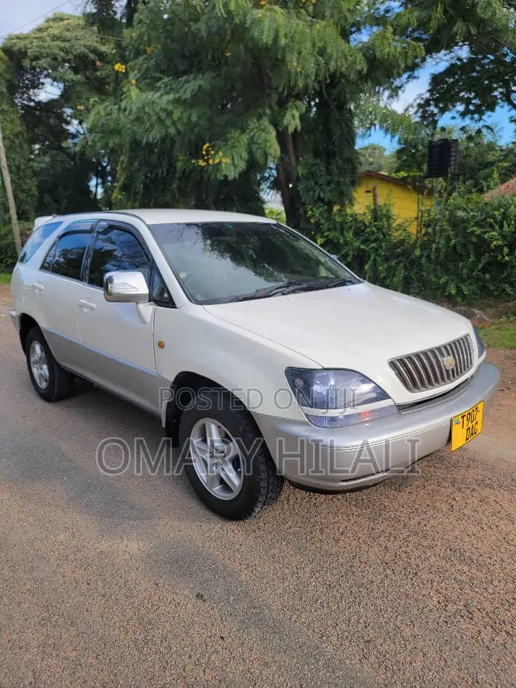 Toyota Harrier 2004 Pearl
