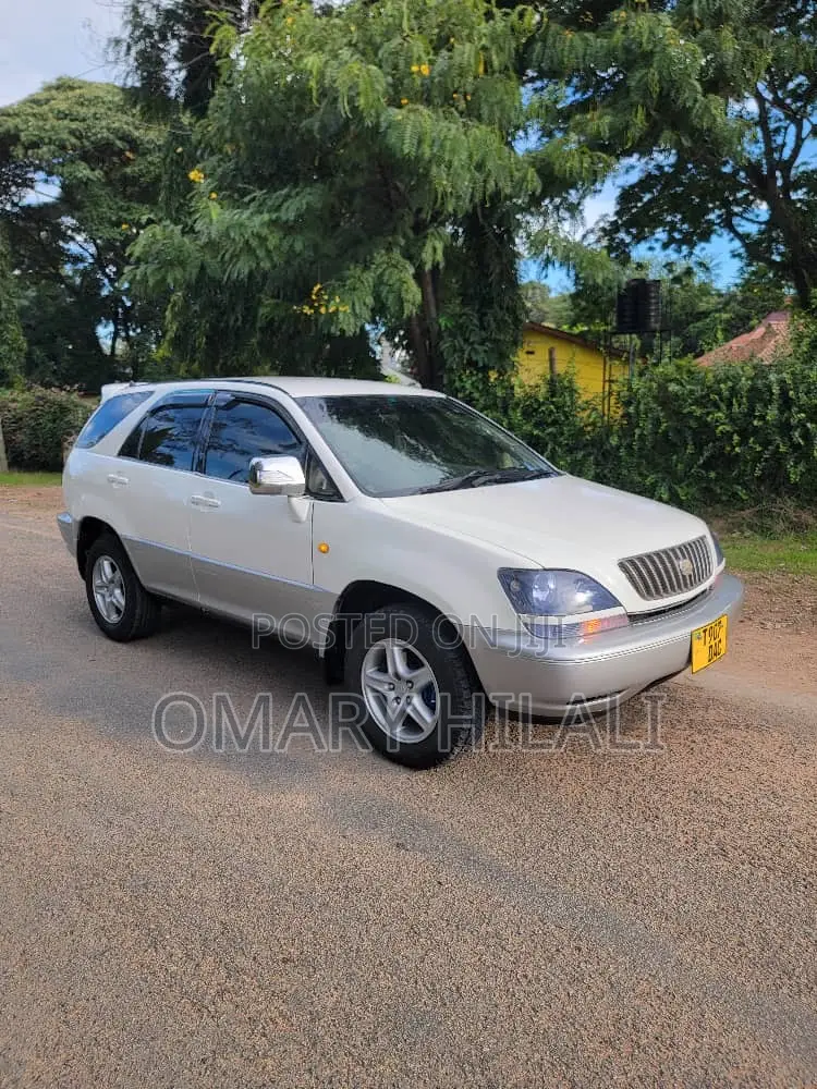 Toyota Harrier 2004 Pearl